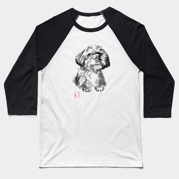 petit chien Baseball T-Shirt by pechane